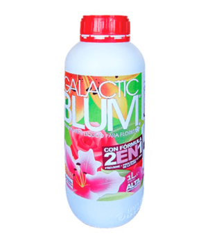 Conservante para flor natural Galacticblum