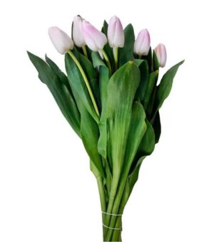 Tulipán Swipe