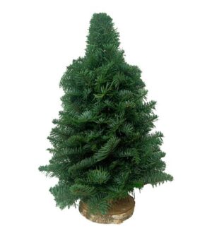 Árbol Nobilis (40 cm)