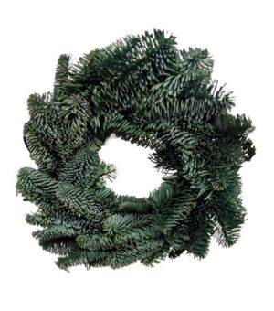 Corona Nobilis (40 cm)