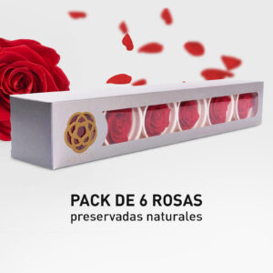 Rosa Preservada de Botón Kiara (Rojo, Vibrant Red)