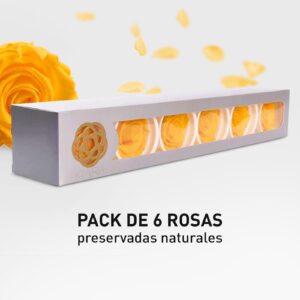 Rosa Preservada de Botón Kiara (Amarillo)