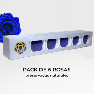 Rosa Preservada de Botón Kiara (Azul)