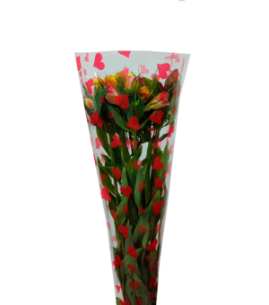 Alstroemeria Nacional Mixta