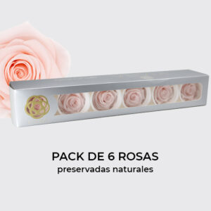 Rosa Preservada de Botón Kiara (Pink Blush, Rosa Rubor )