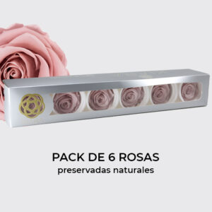 Rosa Preservada de Botón Kiara (Dusty Rose)