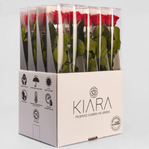 20х Rosa Preservada Roja Vibrante con Tallo de 55cm Kiara