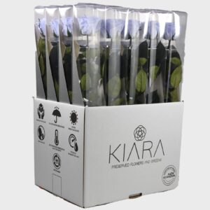 20х Rosa Preservada Cool Lavander con Tallo de 55cm Kiara