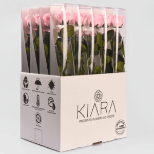 20х Rosa Preservada Rosa con Tallo de 55cm Kiara