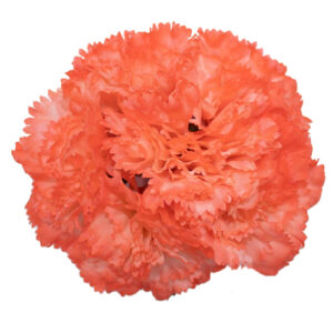 Claver Naranja