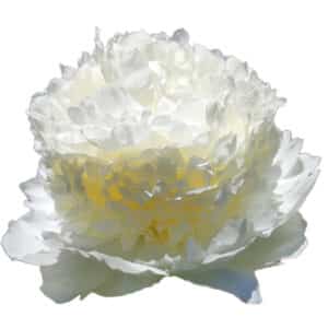Peonia Bridal Gown